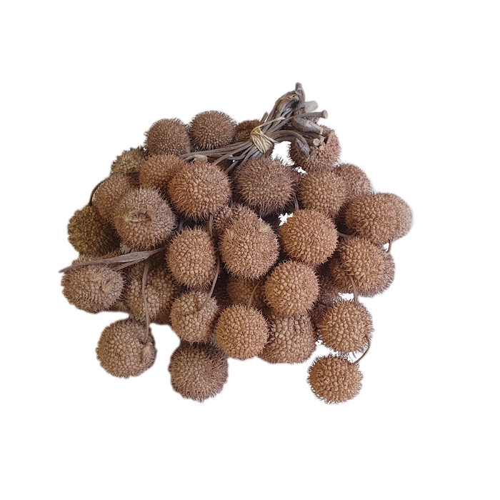 <h4>Small ball per bunch in poly Frosted White</h4>