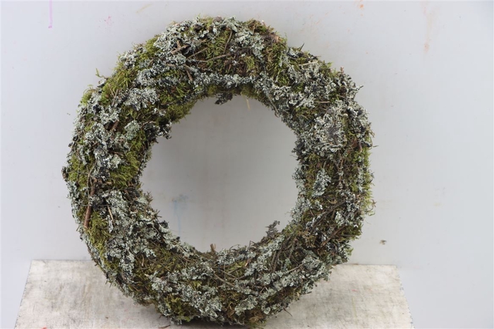 Wr Larix Moss 40cm Natural