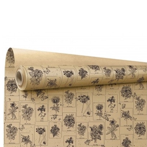 Paper Roll 80cm 40m Curiosity