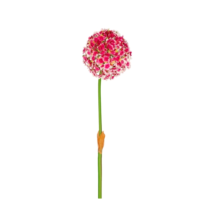 Artificial flowers Allium 82cm