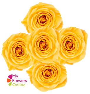 <h4>Bqts Roses x 5 Stems Yellow 50cm CO</h4>