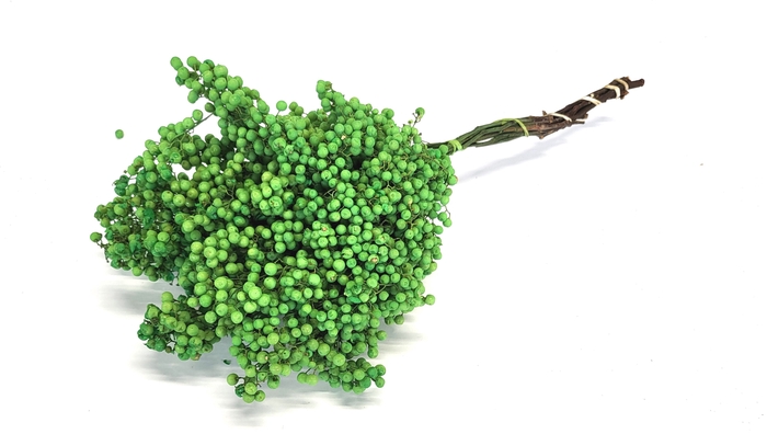 <h4>Pepperberries per bunch in poly mint green</h4>