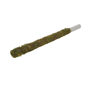 Tube 30mm with green moss 50cm p pc natural