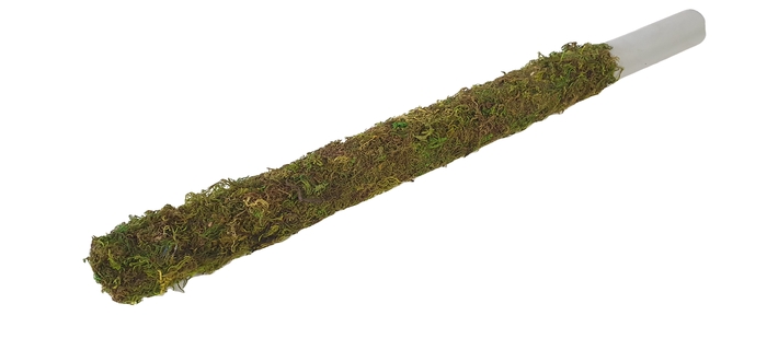 Tube 30mm with green moss 50cm p pc natural