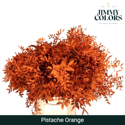 <h4>Pistache L50 Klbh. oranje</h4>