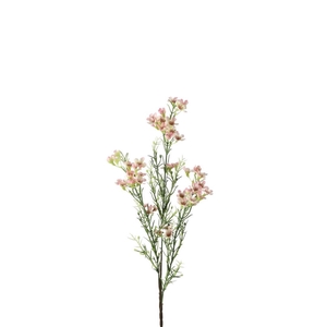 Kunstbloemen Wax flower 67cm