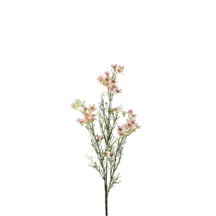 <h4>Kunstbloemen Wax flower 67cm</h4>