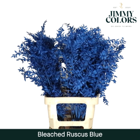 <h4>Gebleekt Ruscus Italiaans L70 Klbh. blue</h4>