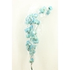 Dried Bougainvillea 55cm Turquoise Bunch