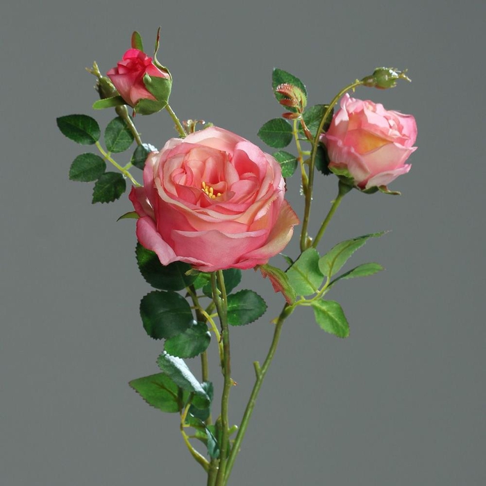 Af Rose X2 With Bud 60cm Pink