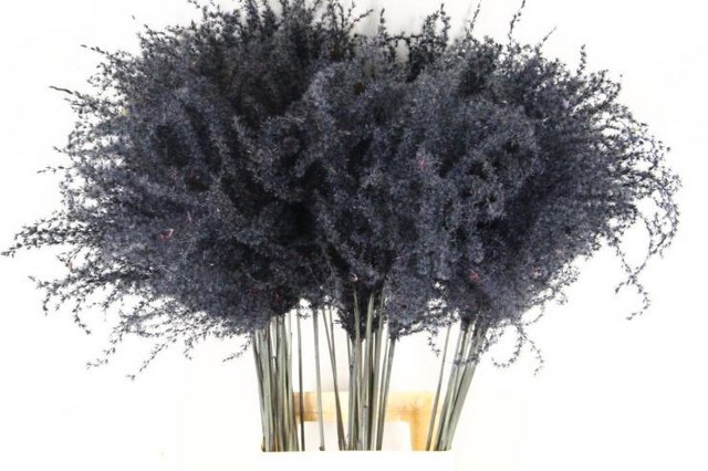 <h4>Dried miscanthus paint grey</h4>