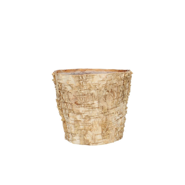 <h4>Wood birch pot d14 12 5cm</h4>