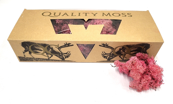 <h4>Reindeer moss 500gr in box light pink</h4>