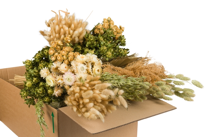 DRIED FLOWERS MIX IN BOX NATUREL