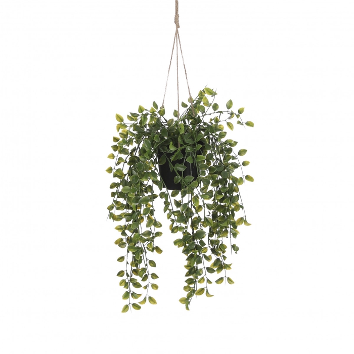 Artificial plants Hanging Ficus d20*46cm