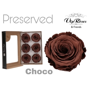 Preserved rosa chocolate