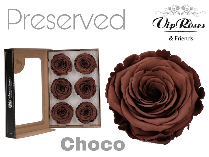 Preserved rosa chocolate
