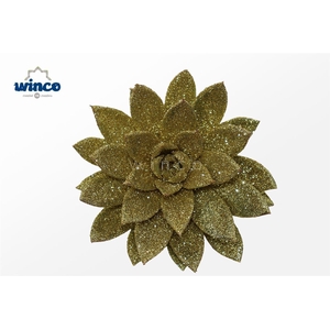 Echeveria Glitter Gold Cutflower Wincx-10cm