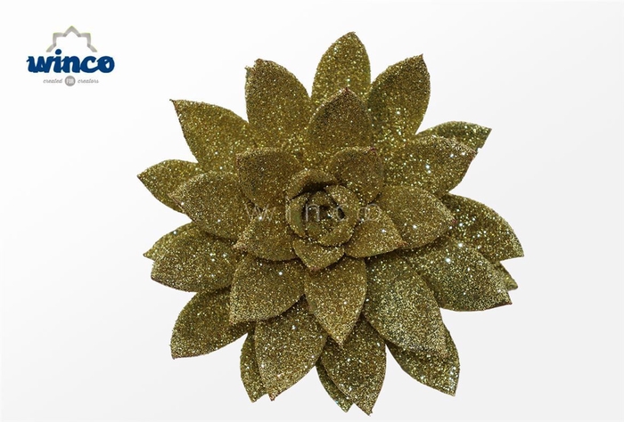 Echeveria Glitter Gold Cutflower Wincx-10cm