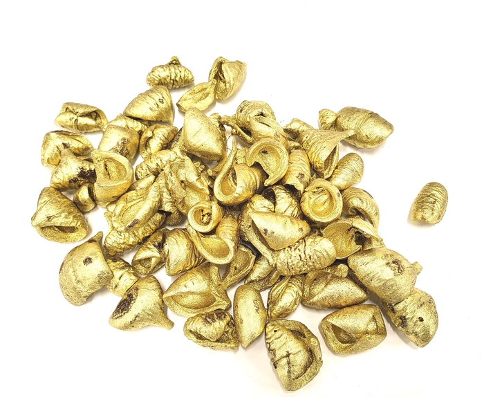 <h4>Lansunia petal 500gr in poly gold</h4>