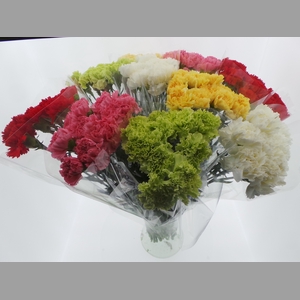 Bouquet Mono Anjers x10 mix 60cm