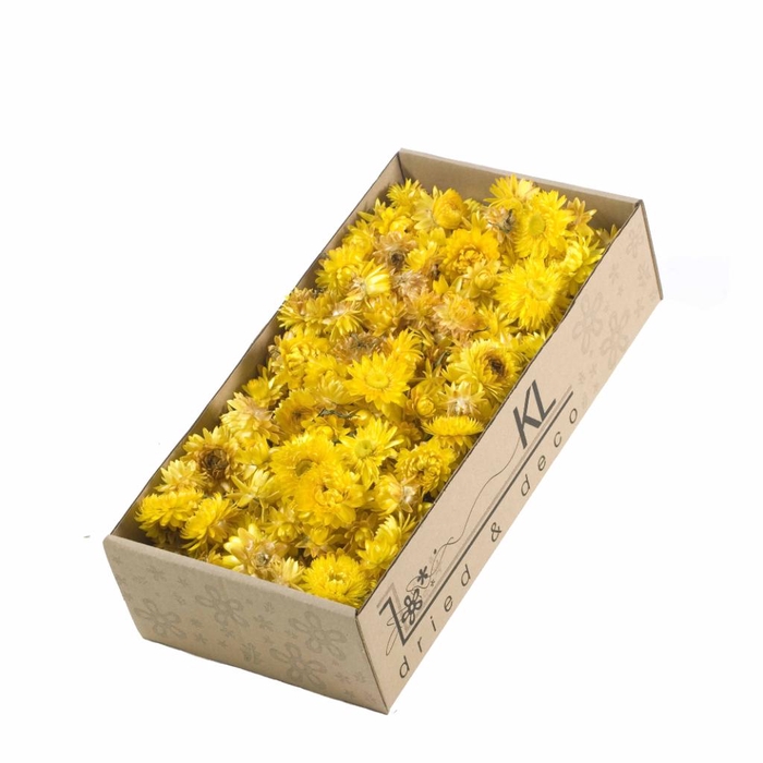 DRIED FLOWERS - HELICHRYSUM HEADS 100GR NATURAL YELLOW