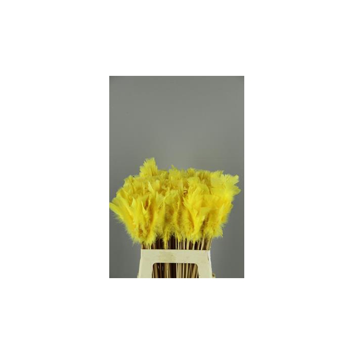 <h4>Stick Feather Yellow 14cm</h4>