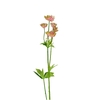 Artificial flowers Astrantia 64cm