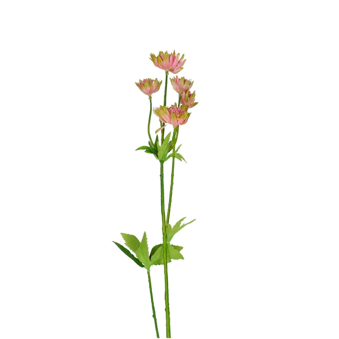 Artificial flowers Astrantia 64cm