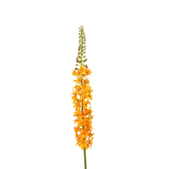 <h4>Artificial flowers Eremurus 94cm</h4>
