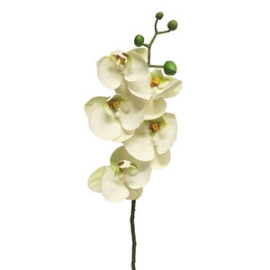 SILK FLOWERS - PHALAENOPSIS SPRAY BORA WHITE 58CM