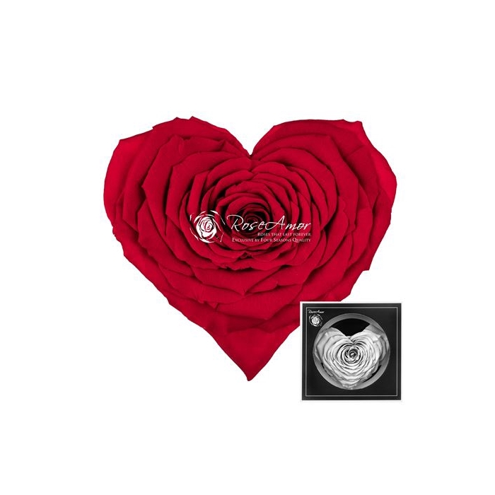 <h4>Corazon Red02</h4>
