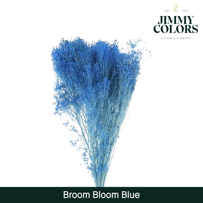 <h4>Broom bloom Blauw</h4>