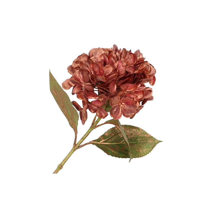 <h4>Silk Hortensia Copper Purple 68cm</h4>