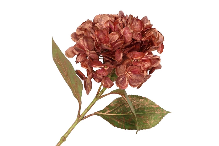 Silk Hortensia Copper Purple 68cm