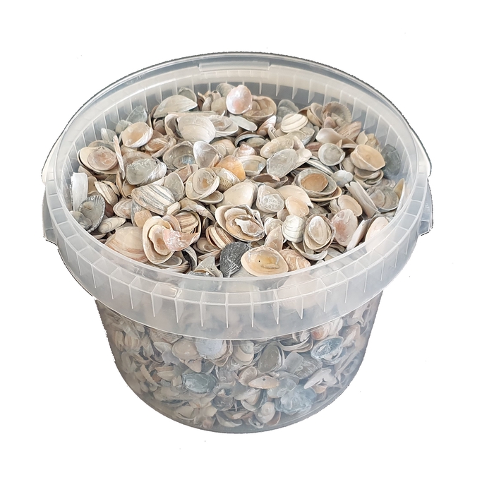 <h4>Shells north sea 3 ltr Frosted Blue</h4>