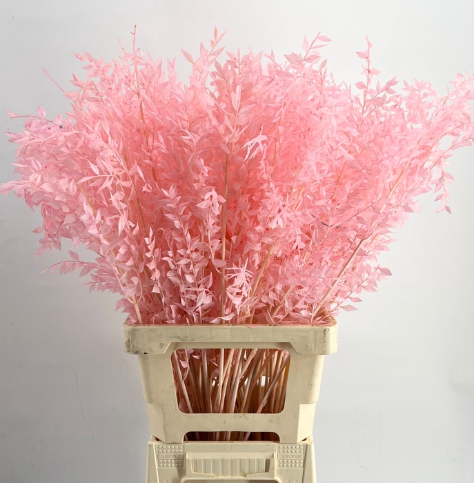 <h4>Dried ruscus paint light pink</h4>