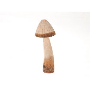 Mushroom Grama H22D9