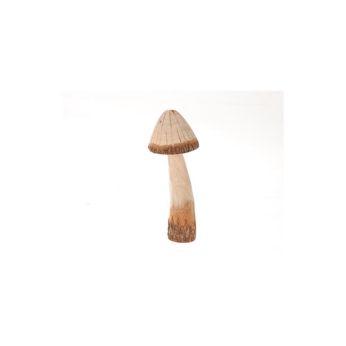 <h4>Mushroom Grama H22D9</h4>