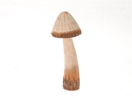 Mushroom Grama H22D9