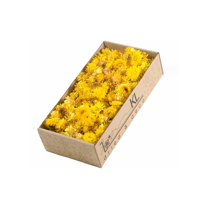 <h4>DRIED FLOWERS - HELICHRYSUM HEADS  100GR NATURAL YELLOW</h4>