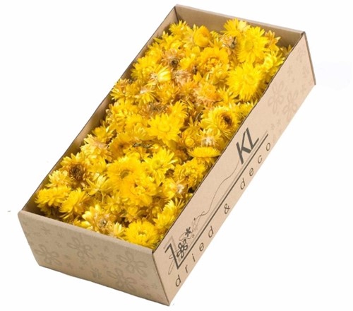 DRIED FLOWERS - HELICHRYSUM HEADS  100GR NATURAL YELLOW