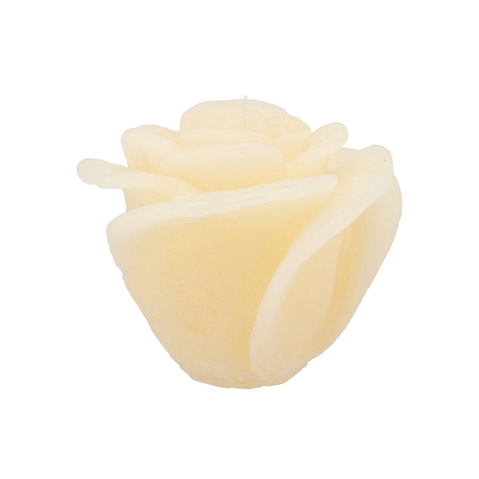 <h4>Candle Roos Ivory 14x12cm</h4>