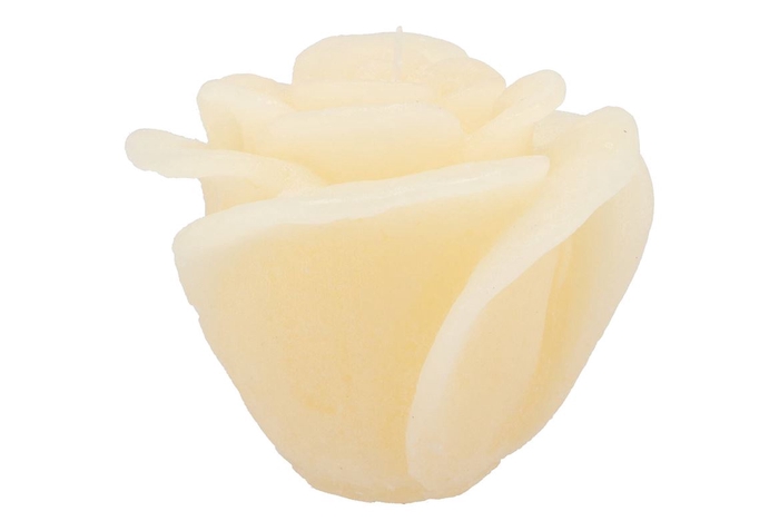 <h4>Candle Rose Ivory 14x12cm</h4>