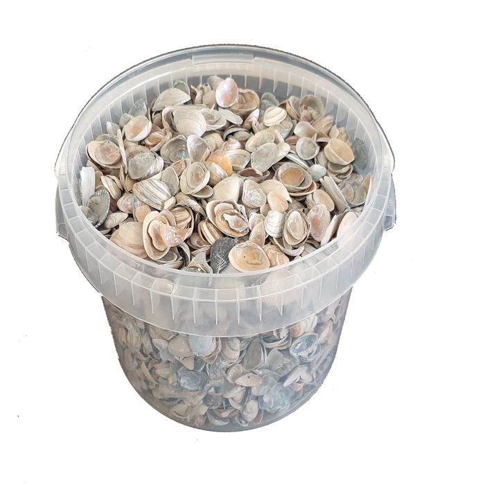 <h4>Shells north sea 1 ltr Frosted Blue</h4>