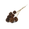 Stick Pine Cone Natural Large