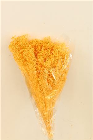 <h4>Dried Brooms Soft Yellow Bunch</h4>