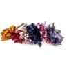 Salal tips dried per bunch Mixed colours