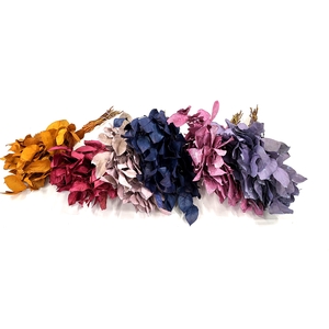 Salal tips mini dried per bunch Mixed Colours