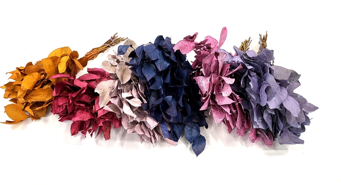 Salal tips dried per bunch Mixed colours